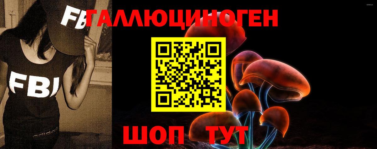 Псилоцибиновые грибы Magic Shrooms  Вход с VPN  Псилоцибиновые грибы GOLDEN TEACHER  Карабулак 